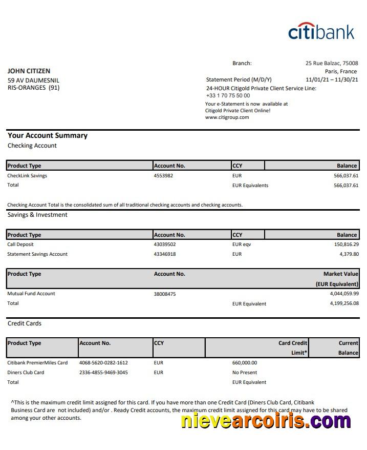 France Citibank bank statement in .xls and .pdf file format